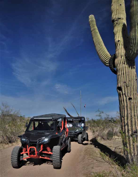 buggy day